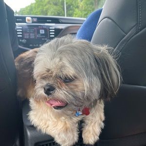 Meet your Posher, La sandra